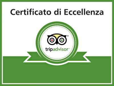TripAdvisor